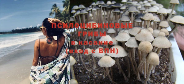 спайс Аркадак