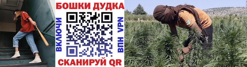 Бошки Шишки индика  Кыштым 
